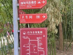 -洛阳白马寺