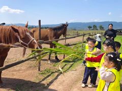 -宾果蒙特梭利托育儿童之家幼儿园(爱琴海店)