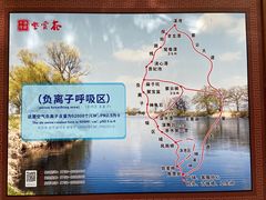 -紫云谷景区