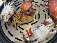-半岛听涛蒸汽海鲜自助(K11店)