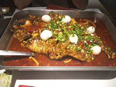 -鱼酷活鱼烤鱼(沈阳大悦城店)