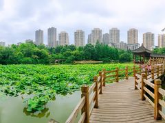 -龙头寺公园
