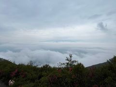 -白帝城·瞿塘峡景区