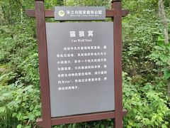 -茅兰沟国家森林公园