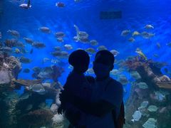 -多彩贵州城极地海洋世界