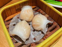 -泮金大塘(北二七路店)