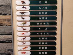 -辽宁古生物博物馆