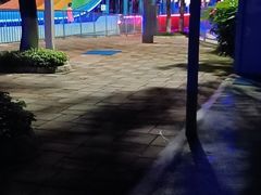 -重庆海昌加勒比海水世界