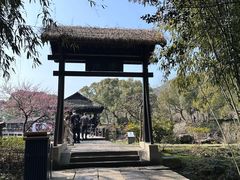 -兰亭风景区