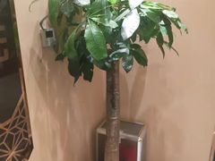 -华夏良子·足道SPA艾灸(铁道大厦店)