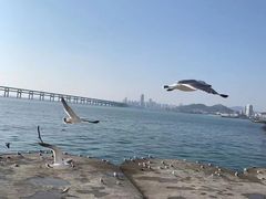 -星海广场