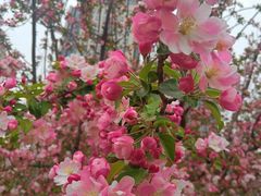 -元大都城垣遗址公园