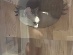 -津菜宋记老房子(鼓楼店)