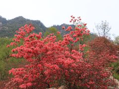-西泰山风景区