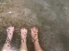 -宝丽金大酒店·洗浴中心