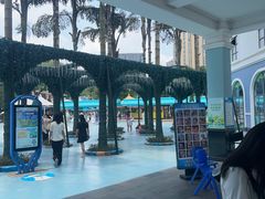 -海合安成都极地海洋公园
