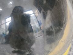 -萌兽医馆·绝育·24小时内科·宠物医院(德胜店)