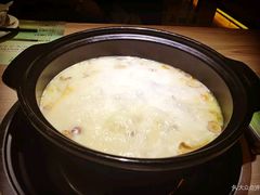 -探窝·竹笙椰子鸡(杨箕店)