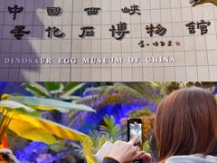 -中国西峡恐龙遗迹园