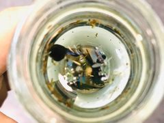 -上海滴水湖皇冠假日酒店