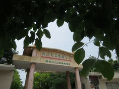 -广东茂名森林公园