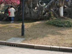 -花溪公园