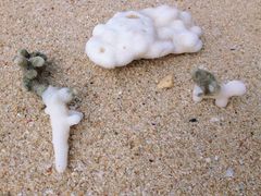 -台场海滨公园船码头