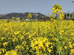-姐妹农家菜(碧水华庭店)