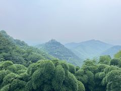 -莫干山风景区