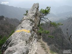 -王顺山国家森林公园