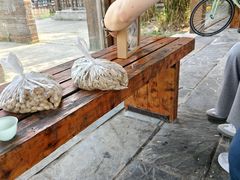 -龙寺生态园