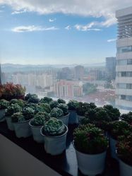 -丽心自助美甲美睫