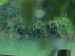 -贵阳市花溪国家城市湿地公园