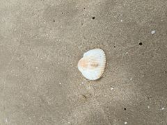 -碧桂园十里银滩