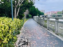 -嘉定紫藤园