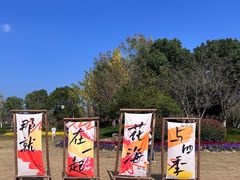 -径山花海