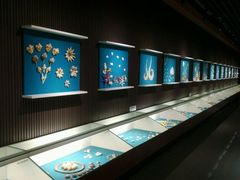 -青岛贝壳博物馆