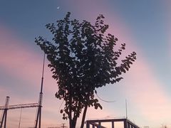 -黄金海岸水上乐园