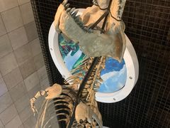 -诸城市恐龙博物馆