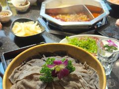 -蜀香居鲜毛肚火锅