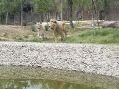 -五龙山野生动物王国