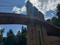 -五营红松林海景区