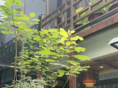 -毅祥斋老孙家泡馍(北院门鼓楼店)