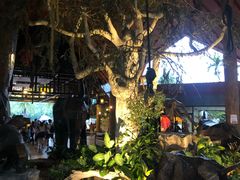 -清迈夜间动物园