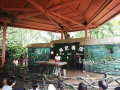 -西双版纳原始森林公园