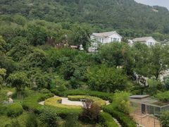 -泰安东尊华美达广场酒店(泰山景区店)