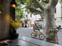 -Apollo·西班牙小酒馆(安福路店)