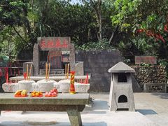-海口火山口国家地质公园