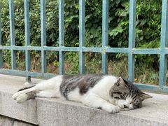 -青岛第三海水浴场