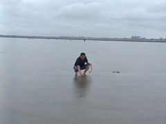 -南汇嘴观海公园